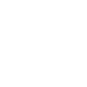 Indianapolis Bicycle Accident Lawyer Icon