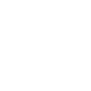 Indianapolis Traumatic Brain Injury Lawyer Icon