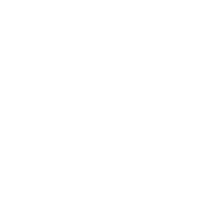 Indiana Car Accident Lawyer Icon
